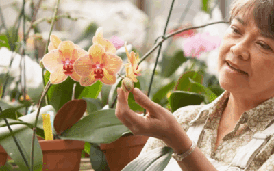 Retirement Questions That Have Nothing to Do With Money