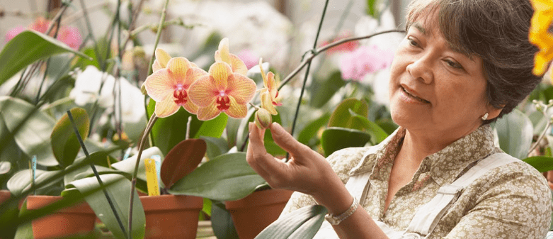 Retirement Questions That Have Nothing to Do With Money